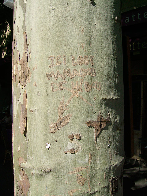 MamadouLeHibou.jpg